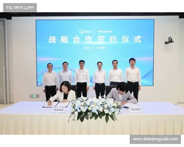 七大合作模式助力部落与联盟建设推动共同发展与互利共赢 七大合作模式助力部落与联盟建设推动共同发展与互利共赢
