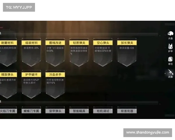 五种挂机策略满足不同玩家需求全解析助你轻松游戏升级 五种挂机策略满足不同玩家需求全解析助你轻松游戏升级