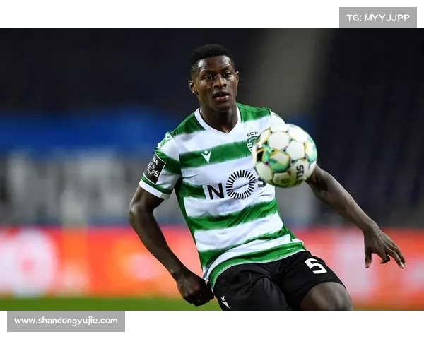 从激情到坚韧如何解读努诺门德斯展现出的顽强战斗精神与意志力量