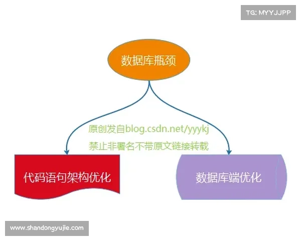 奥利塞成功之路的五个关键因素解析与深度剖析