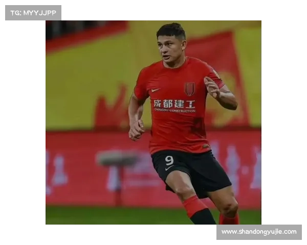 如何评估蓉城边锋的市场价值与合理报价策略